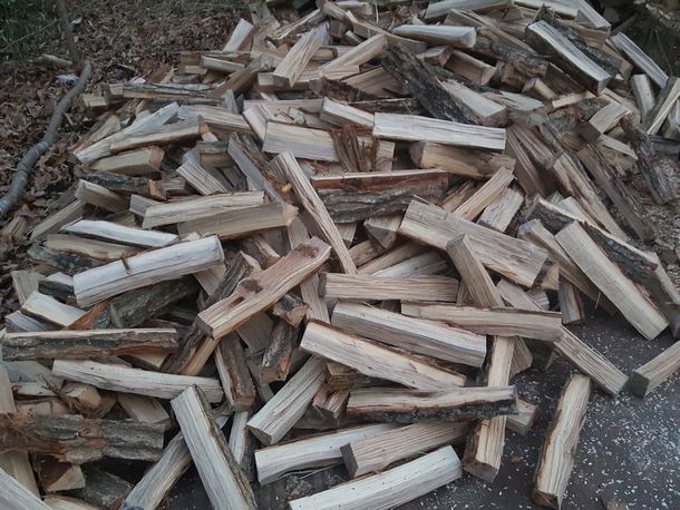 One year dry 46 cm firewood