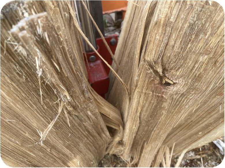 楢の木の薪割り