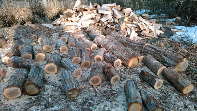 Repetition of firewood fraction