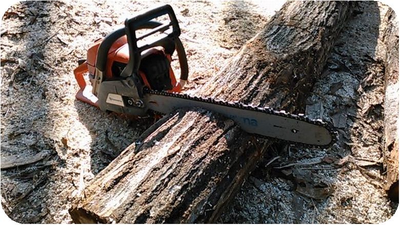 Cut with chainsaw