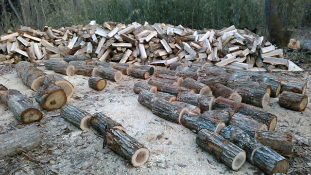 Repetition of firewood fraction3