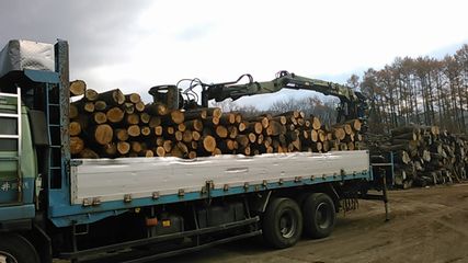 Log loading of trucks