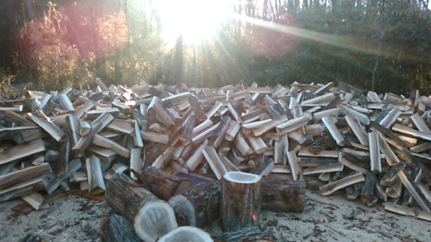 Fresh firewood